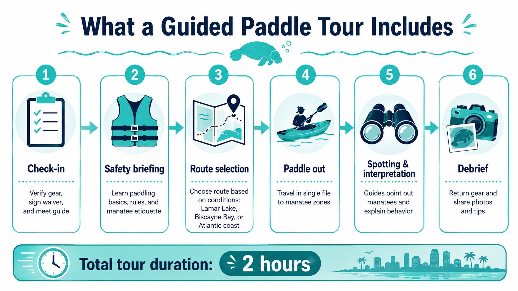 An infographic detailing the six-step process of a guided paddle tour to see manatees.