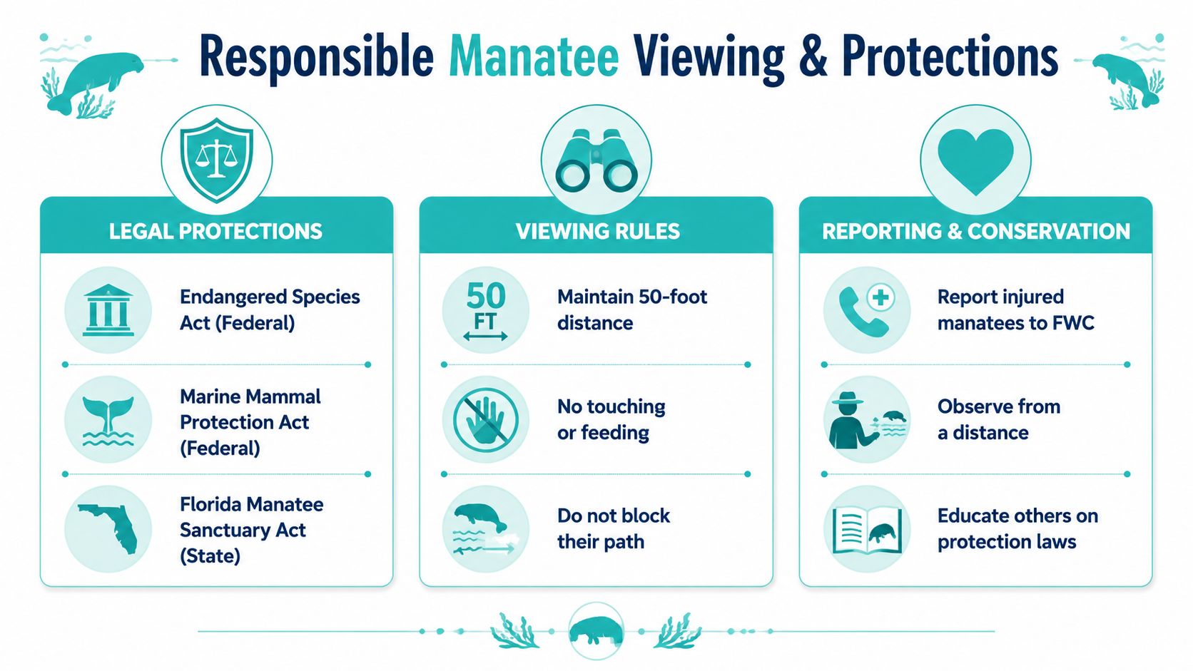 An infographic detailing laws, viewing rules, and conservation tips for interacting with manatees in Florida.
